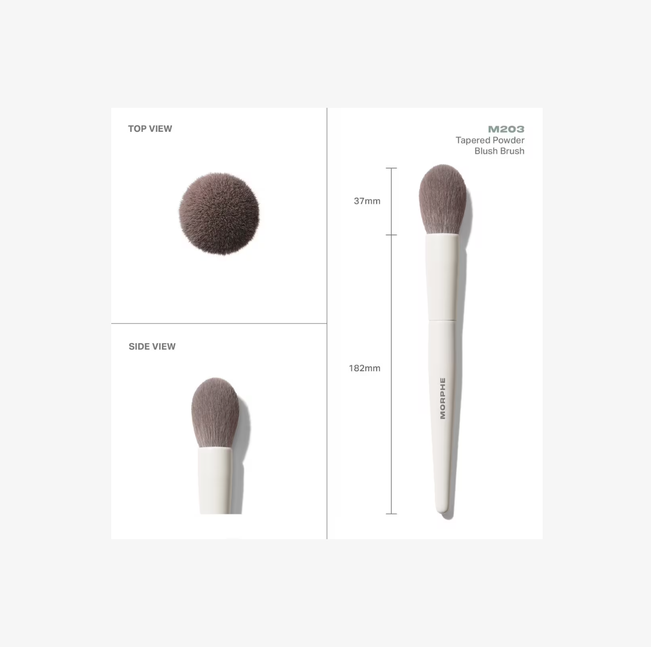 Brocha M203 Tapered para Rubor en Polvo