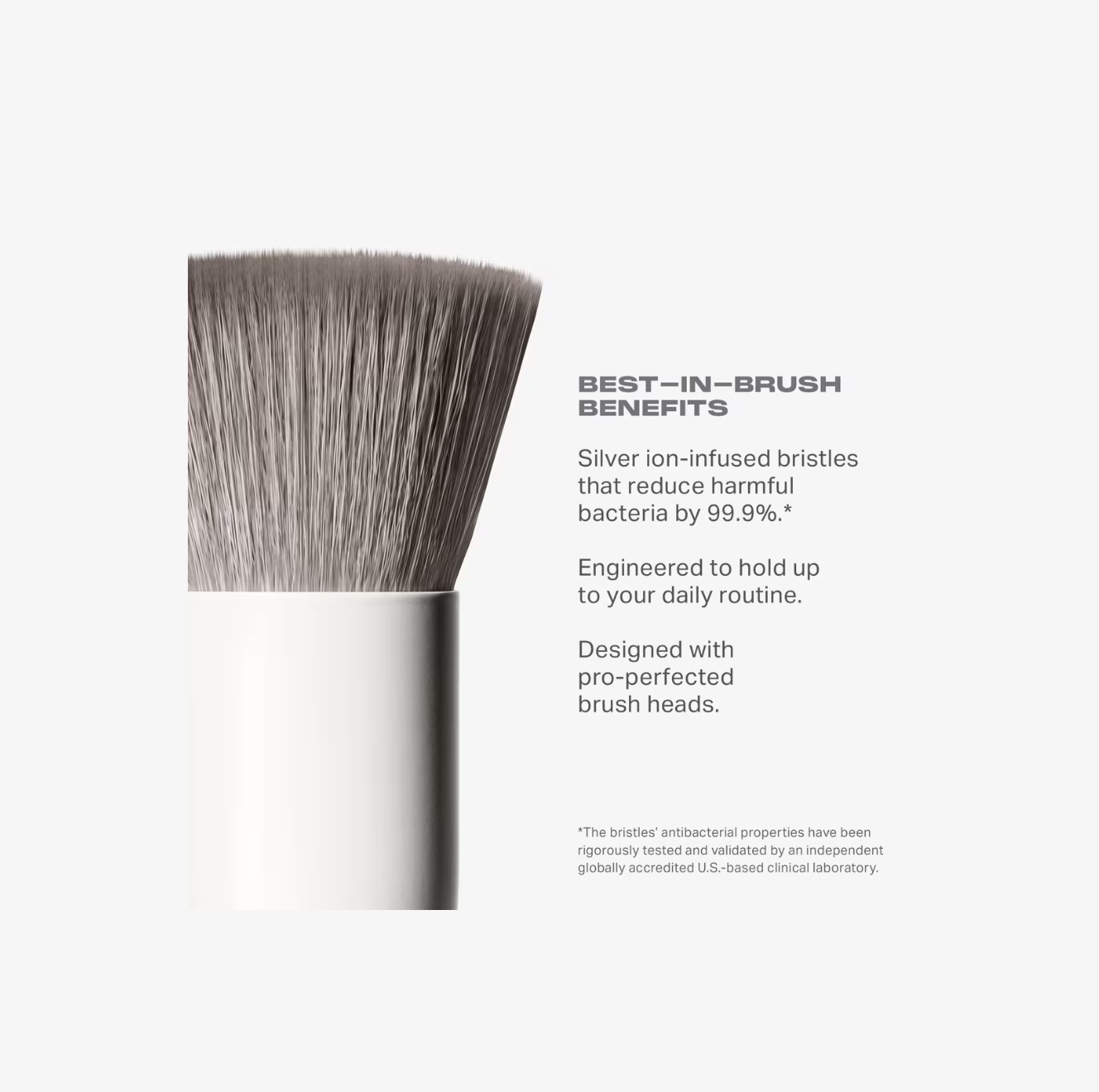 Brocha Morphe M131 Rounded Paddle Concealer Brush