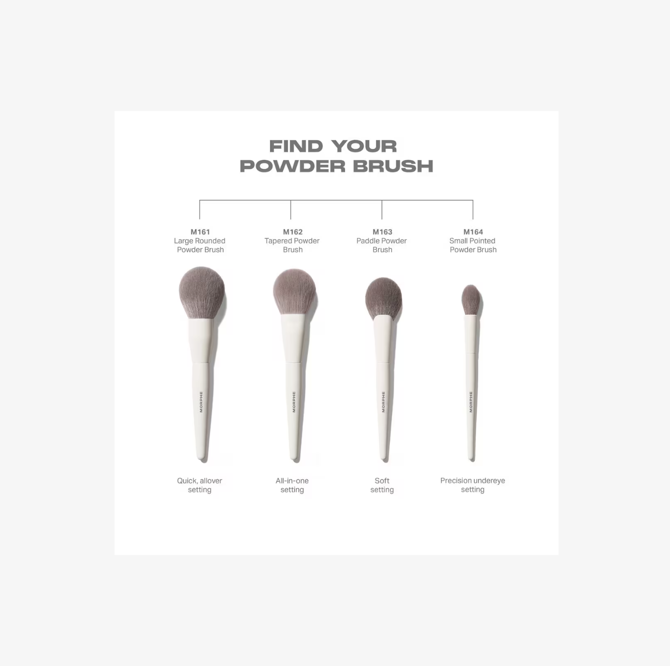 Brocha M163 Paddle Powder – Morphe