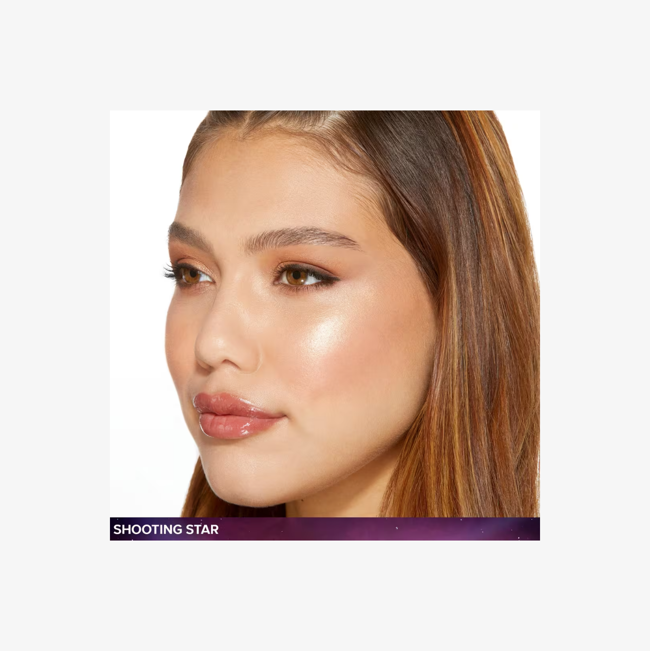 Too Faced Moon Crush Multi-Use Powder Highlighter