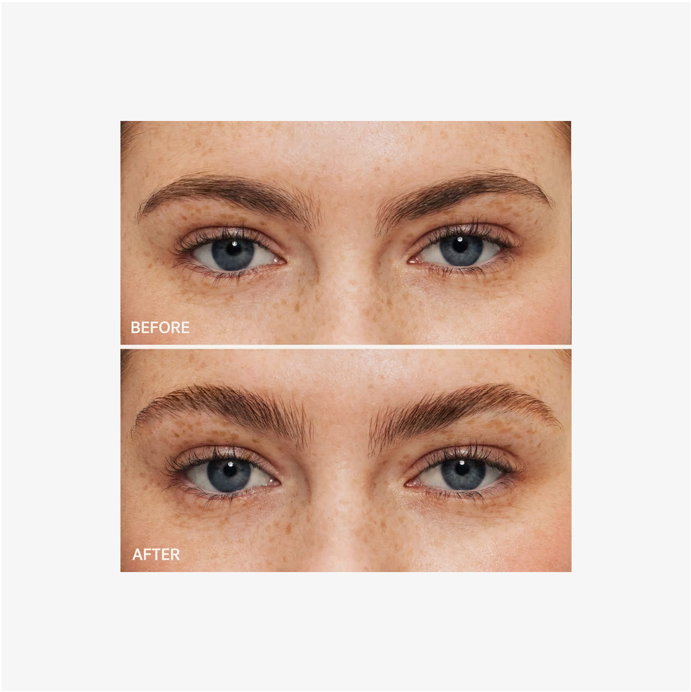 ILIA In Frame Brow Gel – Transparente