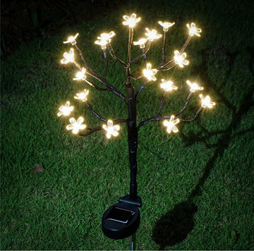Flor De Luz Solar Planta Luz Cerezo
