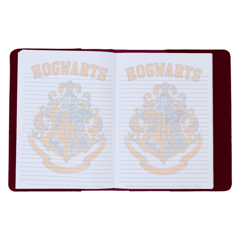 Harry Potter Cuaderno Hogwarts Varsity