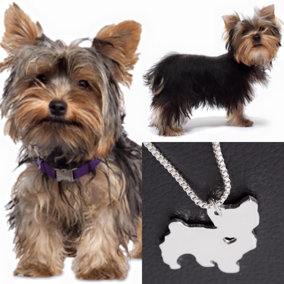 Collar De Perro (Terrier)