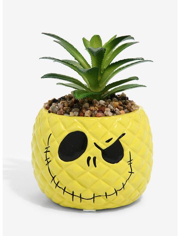Extraño Mundo De Jack Planta Suculenta