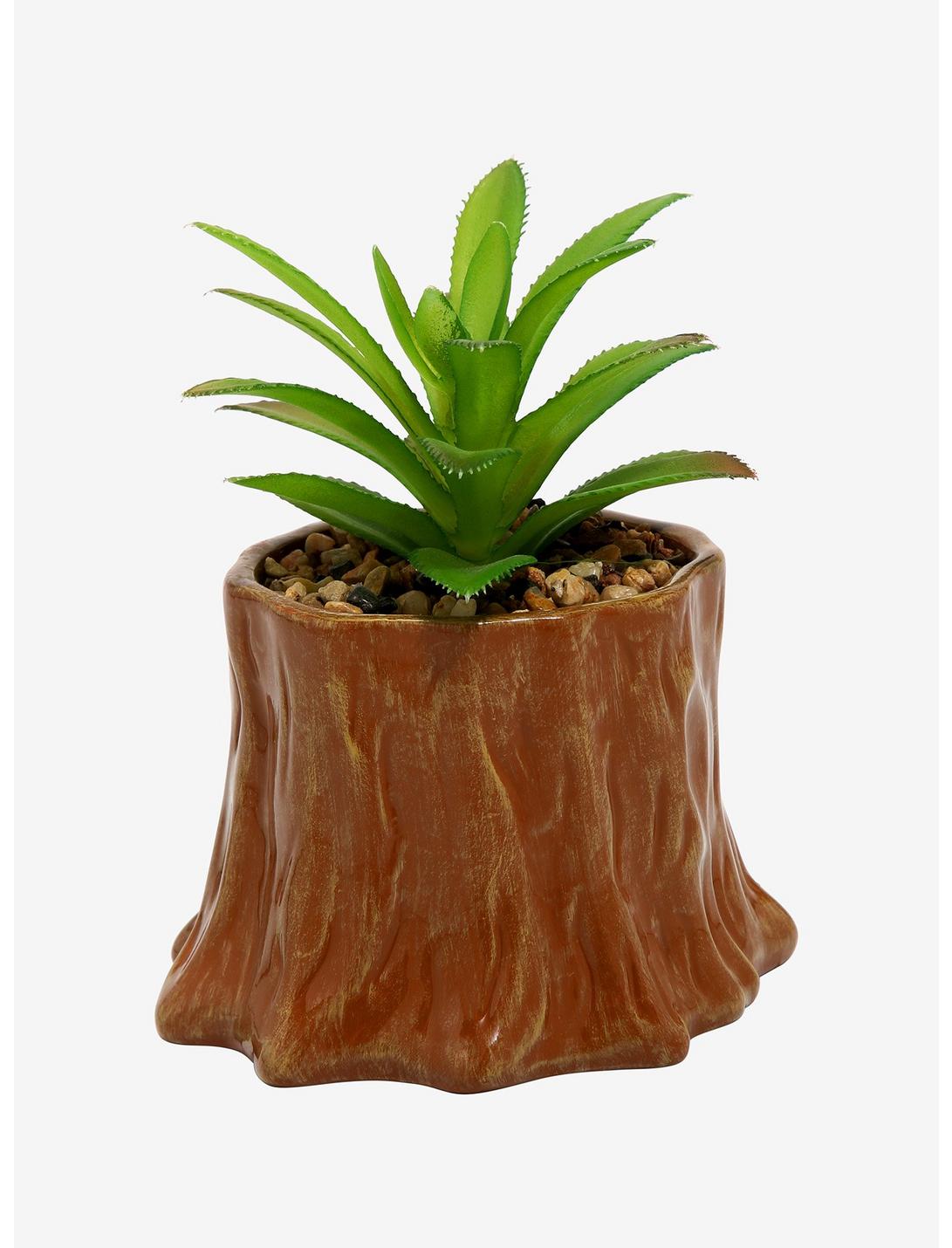 Pokemon Planta Suculenta