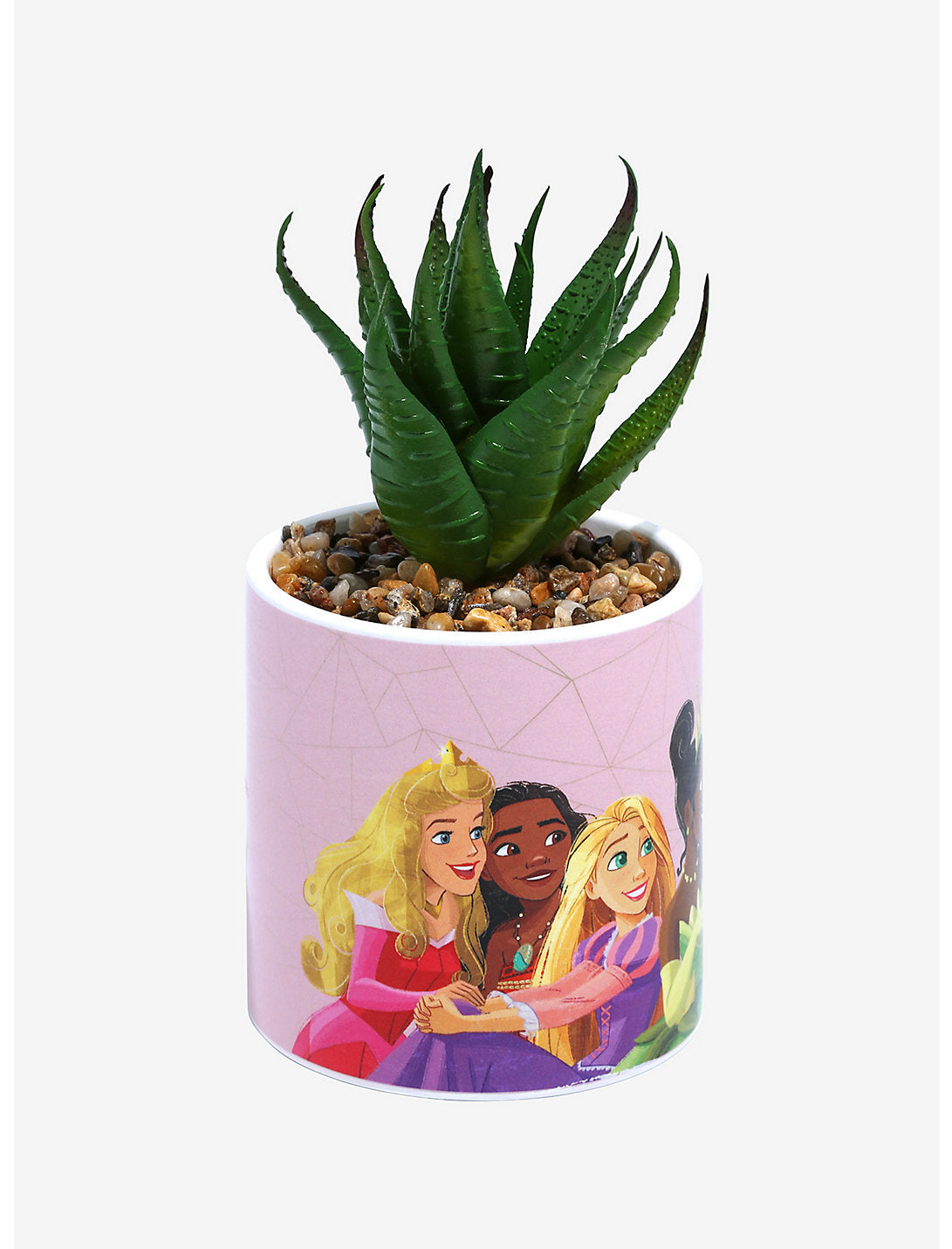Princesas Disney Planta Suculenta