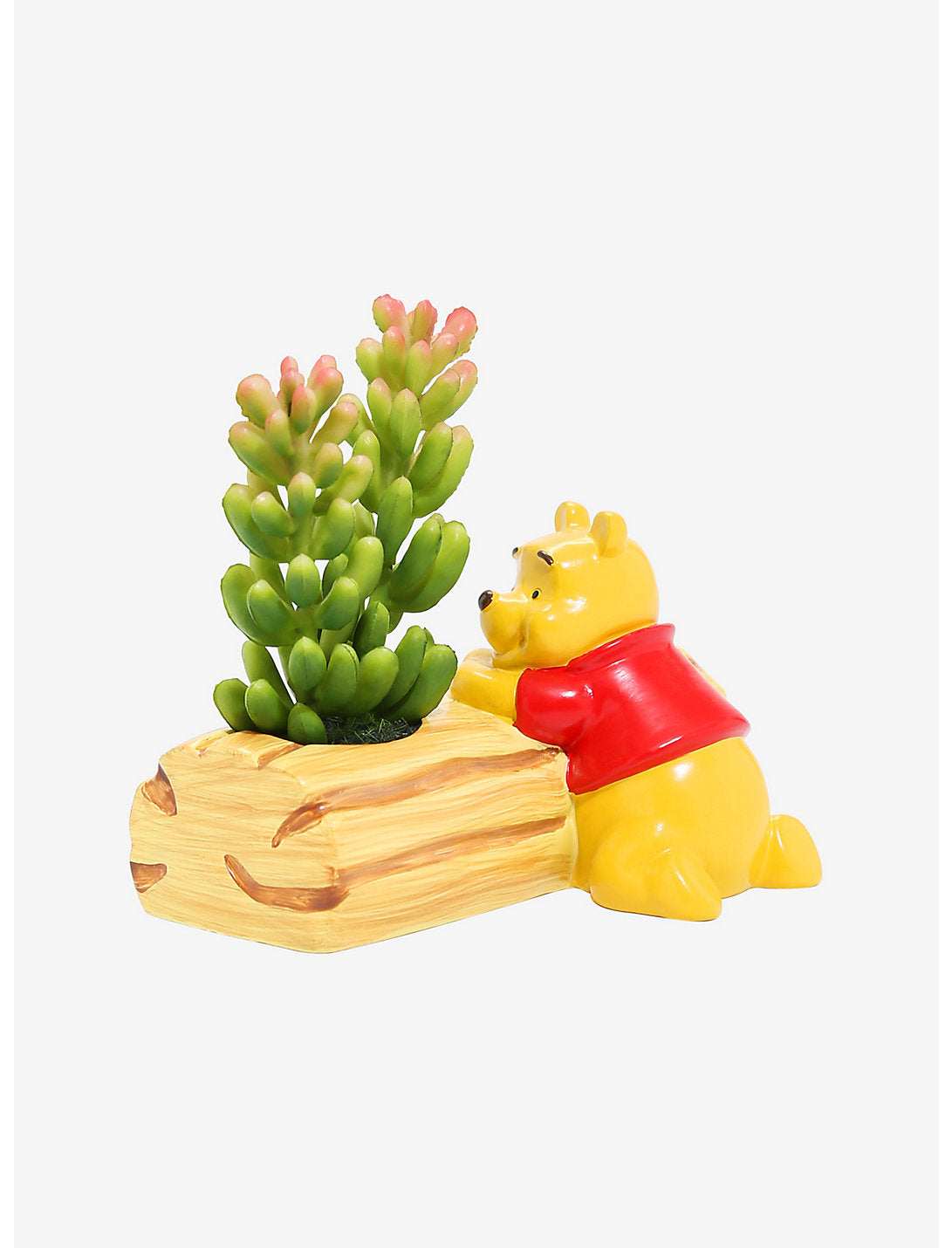 Winnie Pooh Planta Suculenta Escritorio