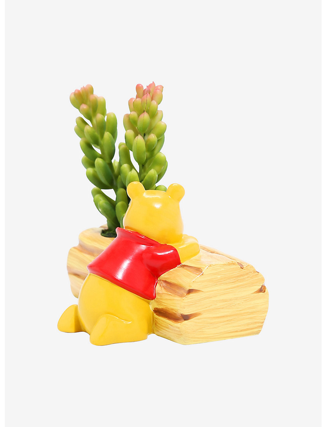 Winnie Pooh Planta Suculenta Escritorio