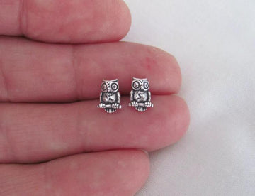 Aretes De Búho Plata