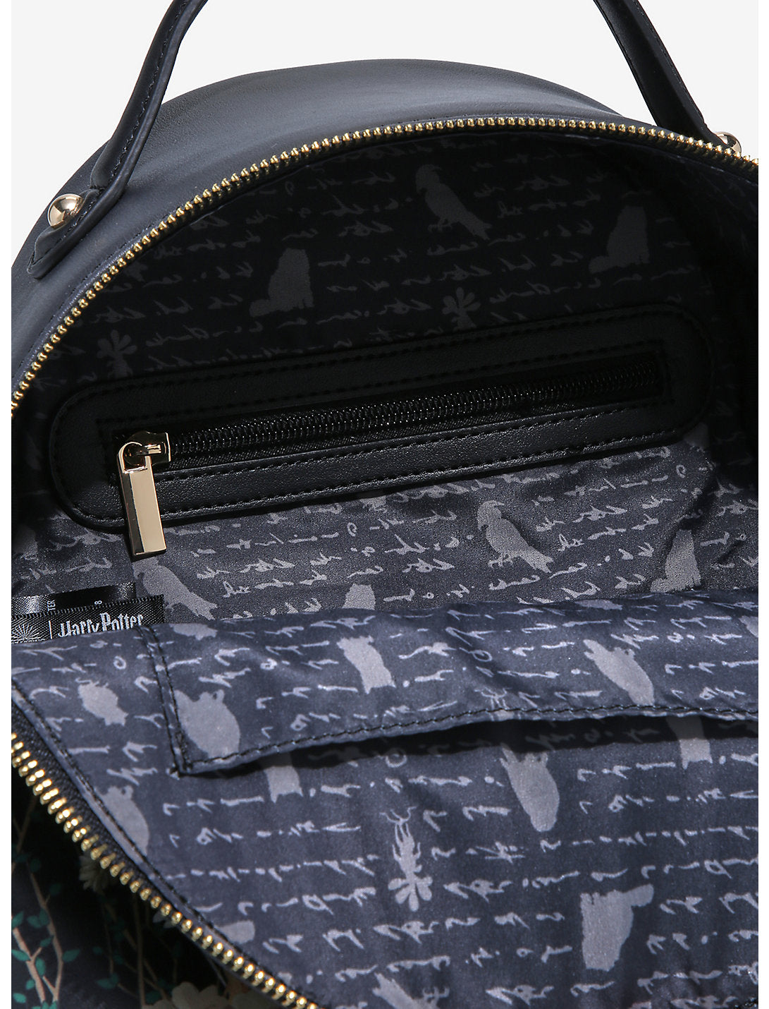 Harry Potter Mochila Personajes Dibujo Botanica