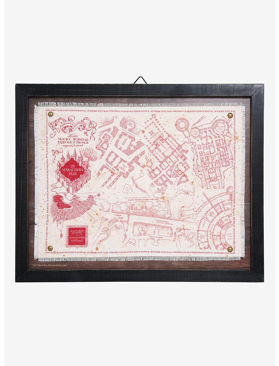 Harry Potter Cuadro Mapa Merodeador