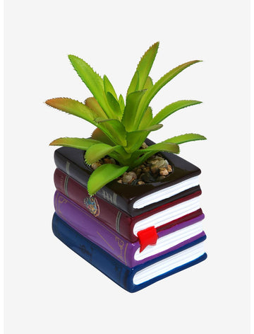 Harry Potter Planta De Escritorio Libros Suculenta