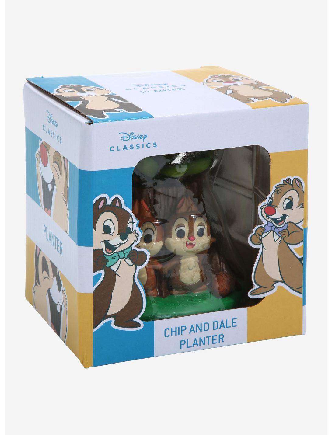 Chip N Dale Planta Suculenta