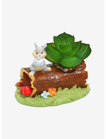 Bambi Thumper Planta Suculenta Escritorio