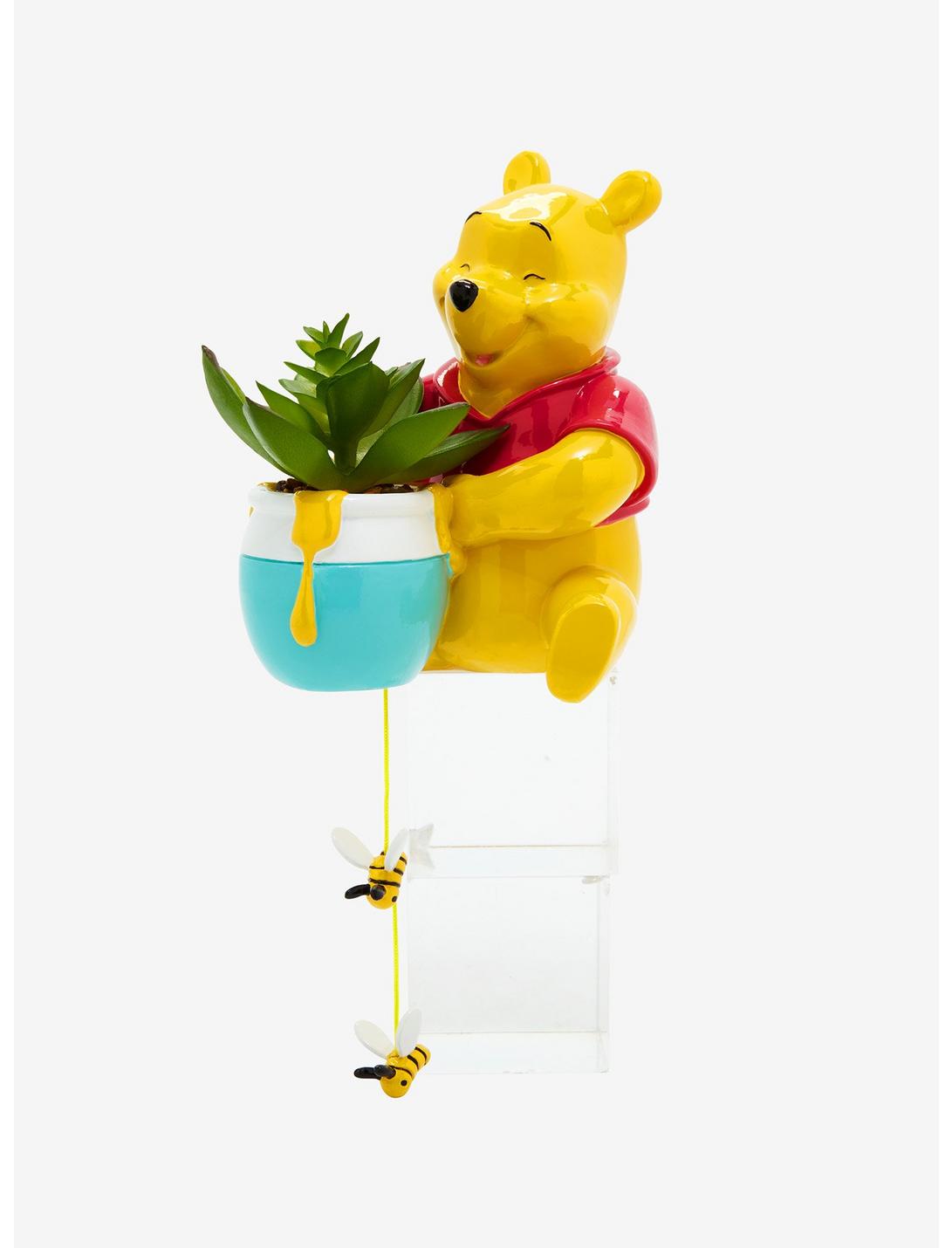 Winnie Pooh Planta Suculenta Decoracion Oficina