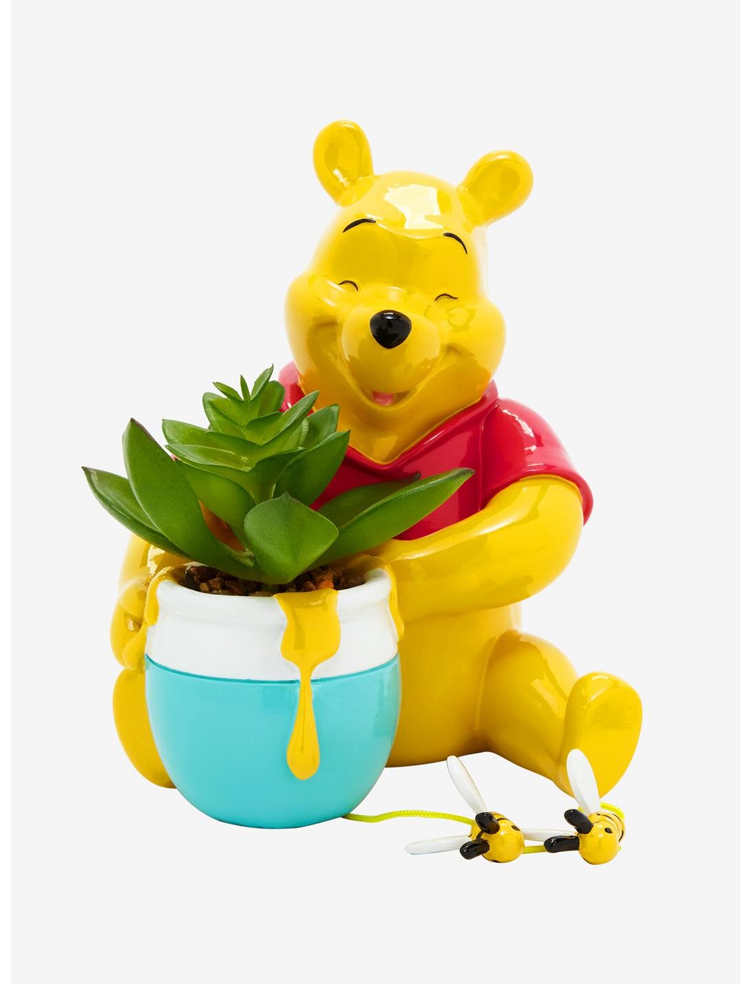 Winnie Pooh Planta Suculenta Decoracion Oficina