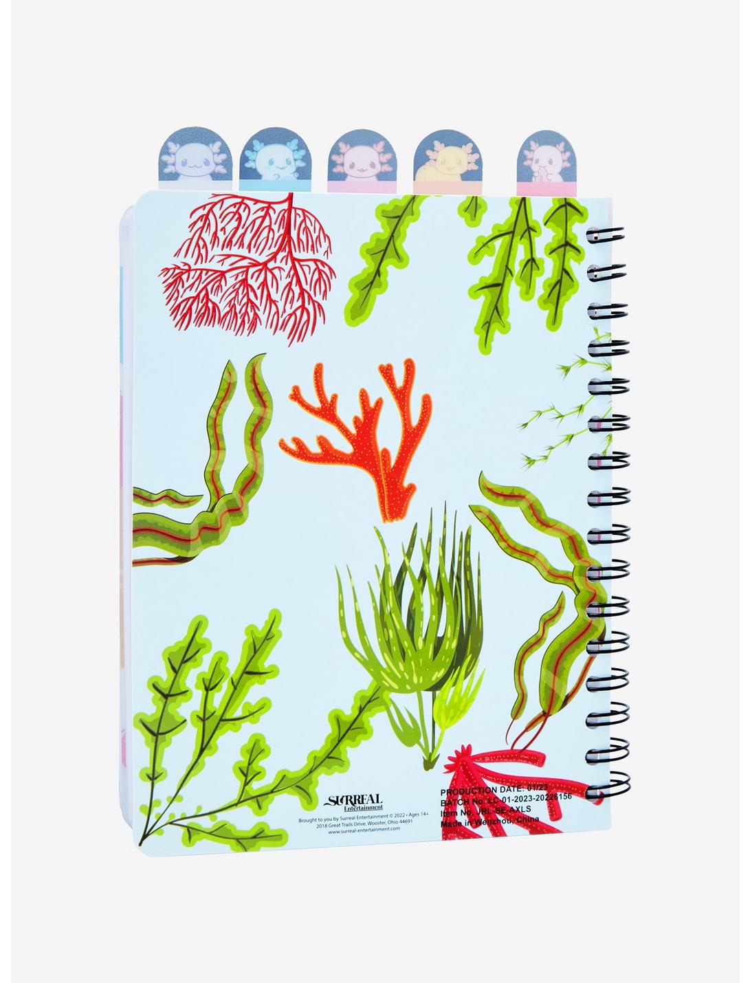 Libreta Axolote Cuaderno Separador