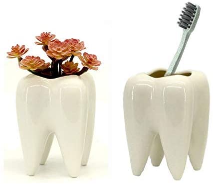 Dentista Porta Lapices/Maceta Decoracion Diente