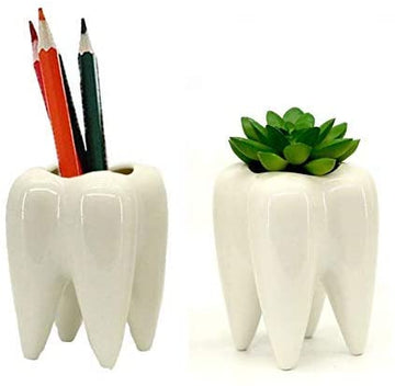 Dentista Porta Lapices/Maceta Decoracion Diente