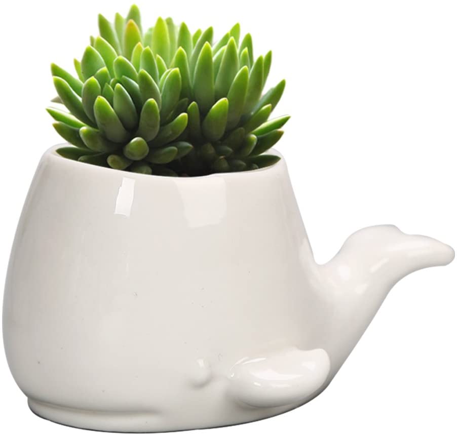 Juego De Macetas Ballena