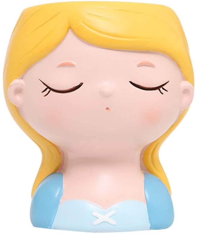 Cenicienta Planta Suculenta