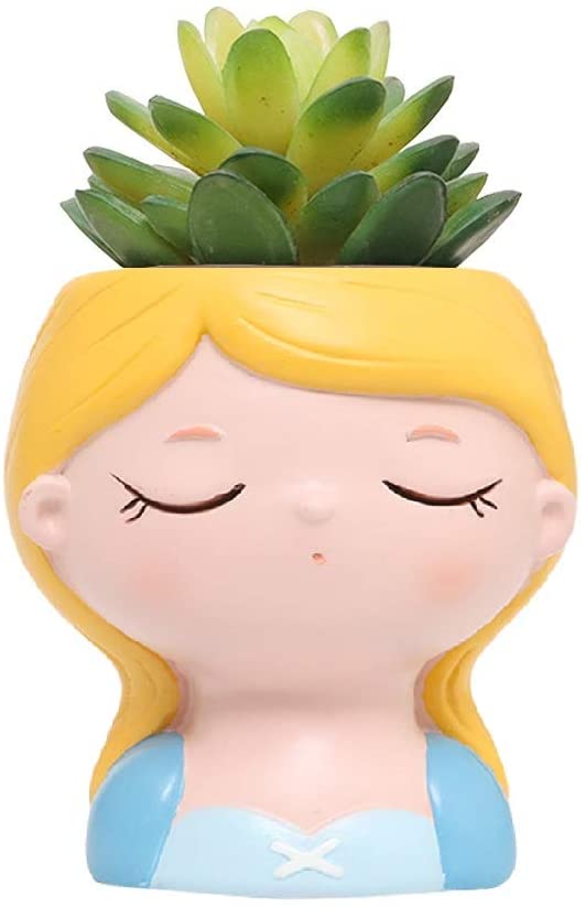 Cenicienta Planta Suculenta