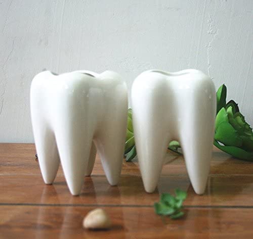 Dentista Porta Lapices/Maceta Decoracion Diente