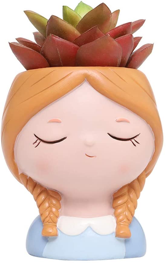 Alicia En El Pais De Las Maravillas Planta Suculenta