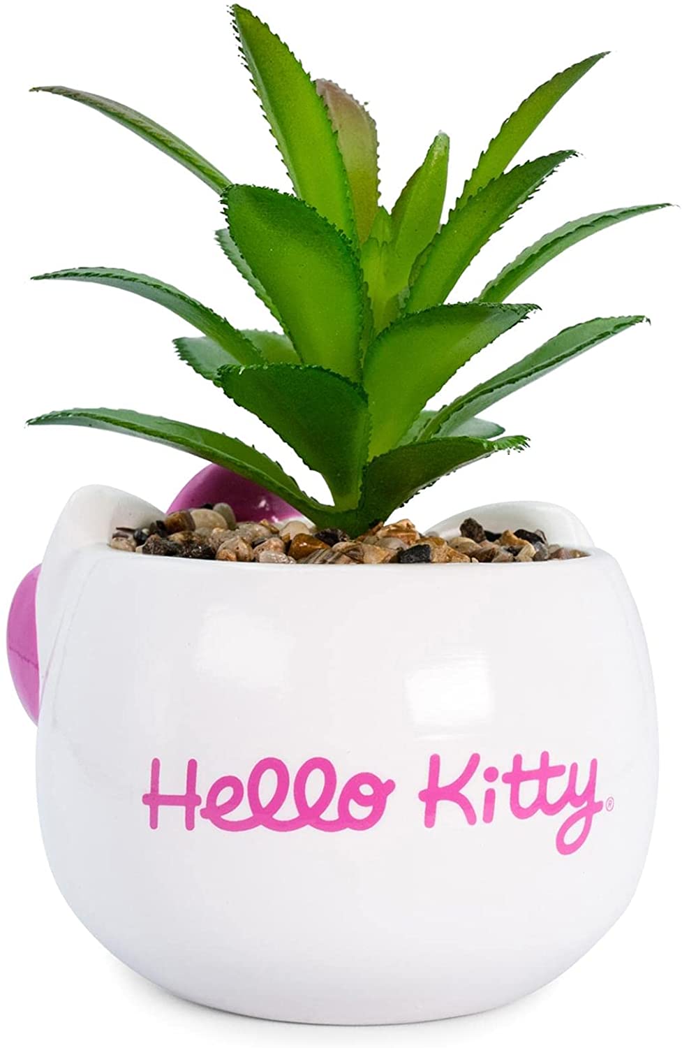 Hello Kitty Planta Suculenta