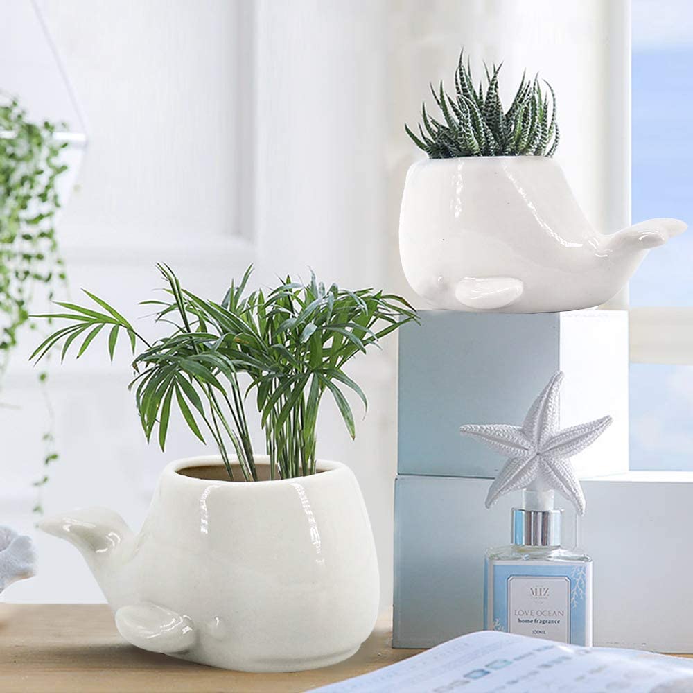 Juego De Macetas Ballena