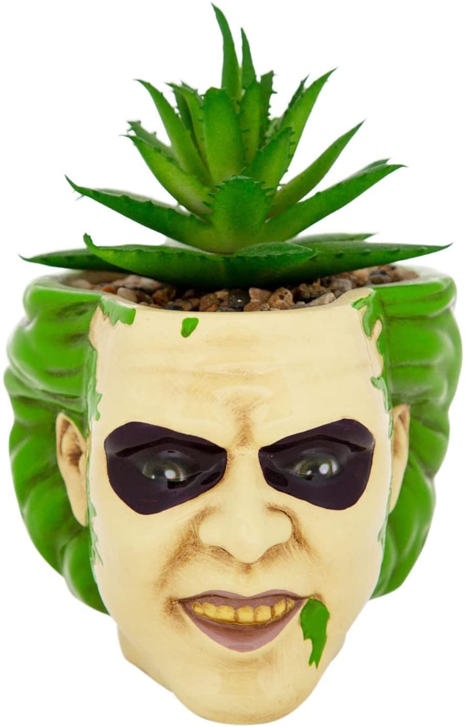 Beetlejuice Planta Suculenta