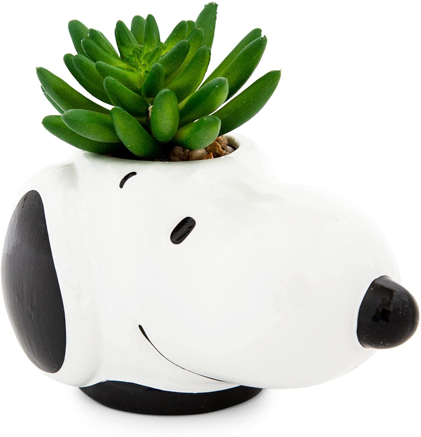 Snoopy Planta Suculenta