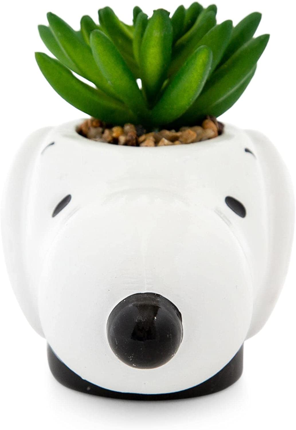 Snoopy Planta Suculenta