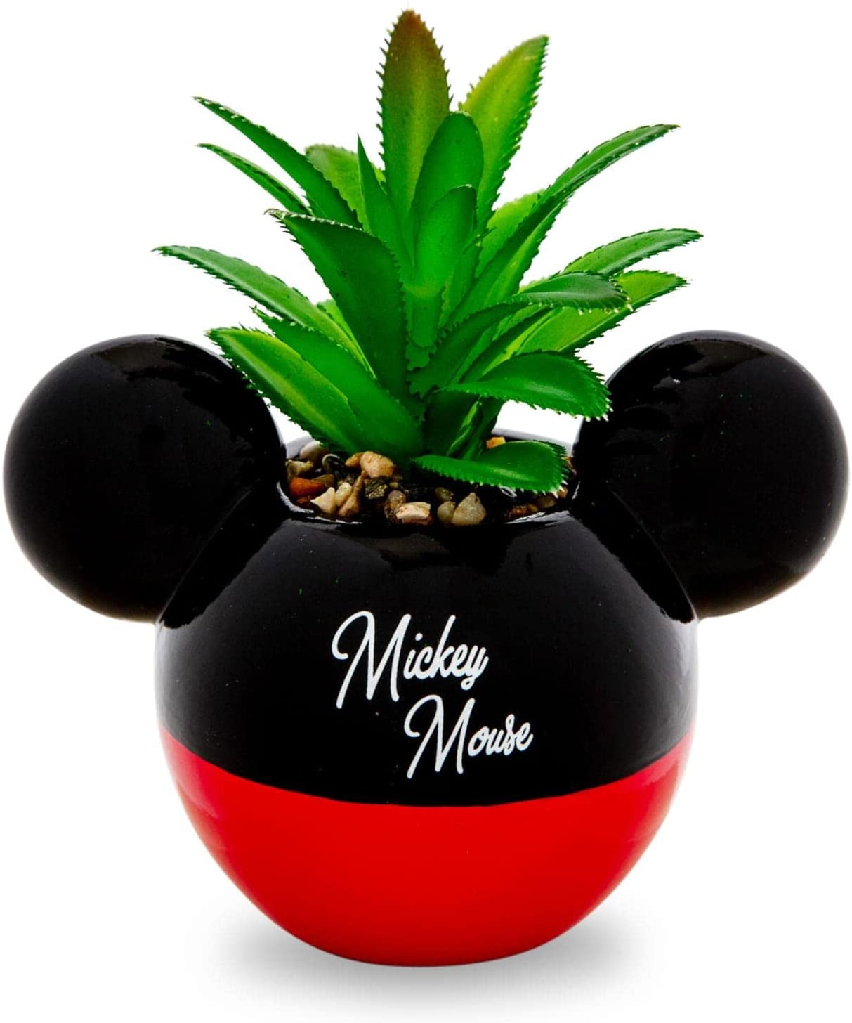 Mickey Mouse Planta Suculenta