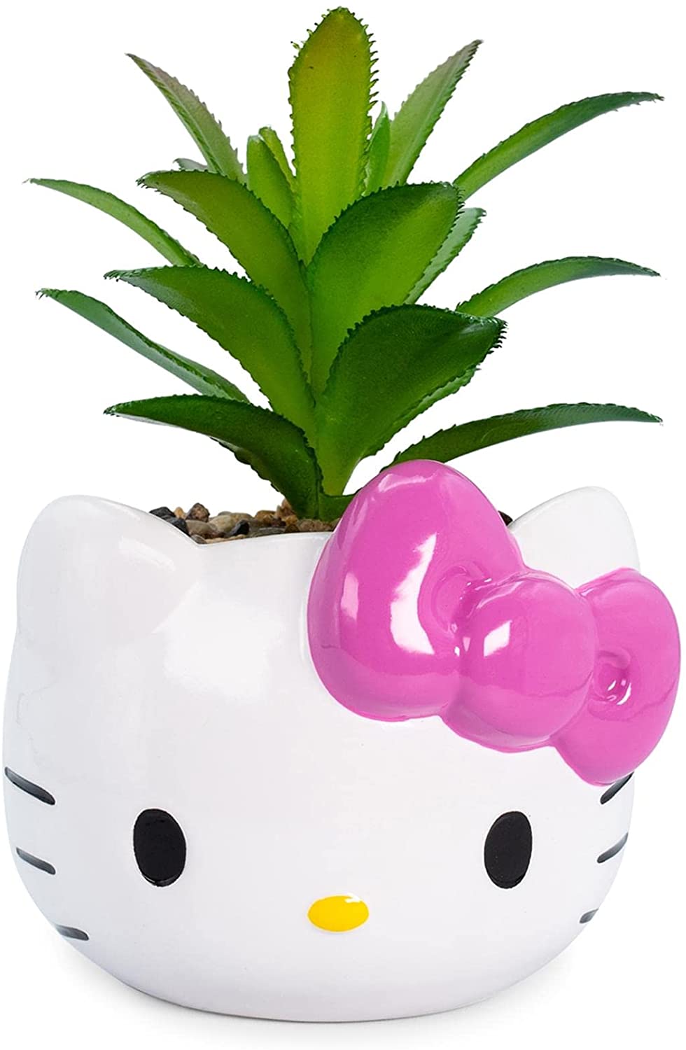 Hello Kitty Planta Suculenta