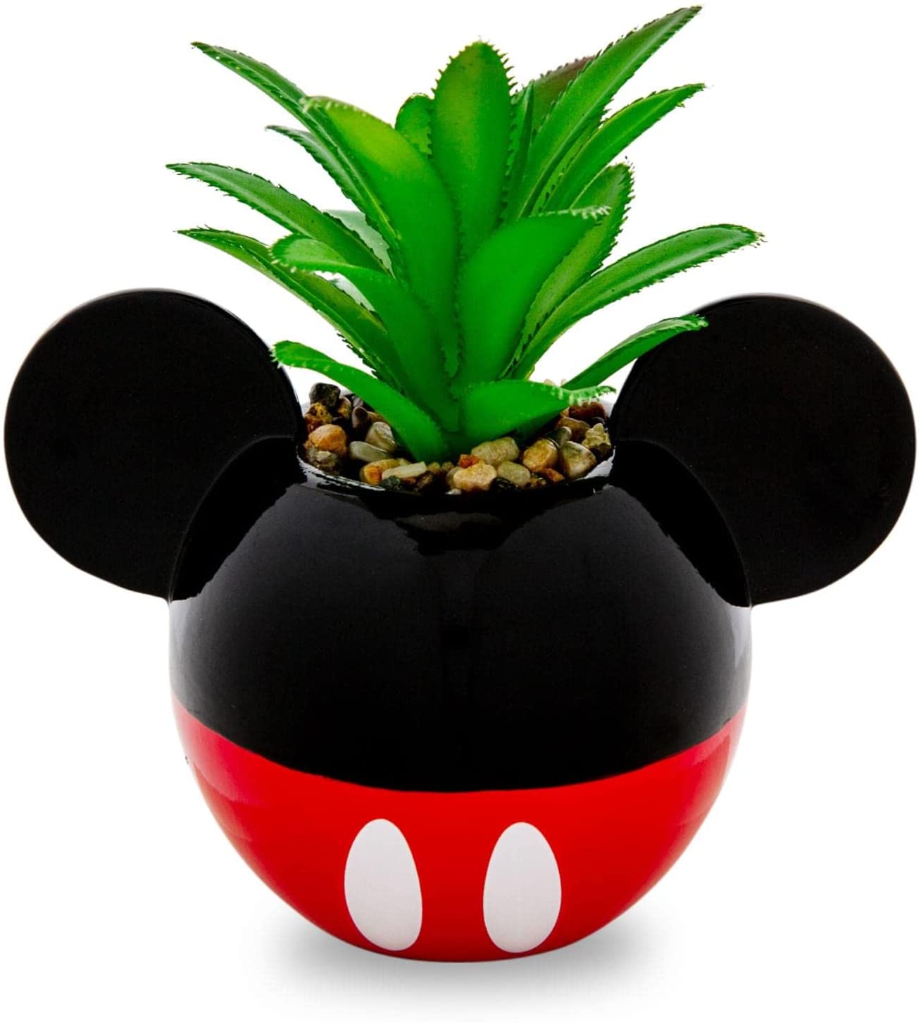 Mickey Mouse Planta Suculenta