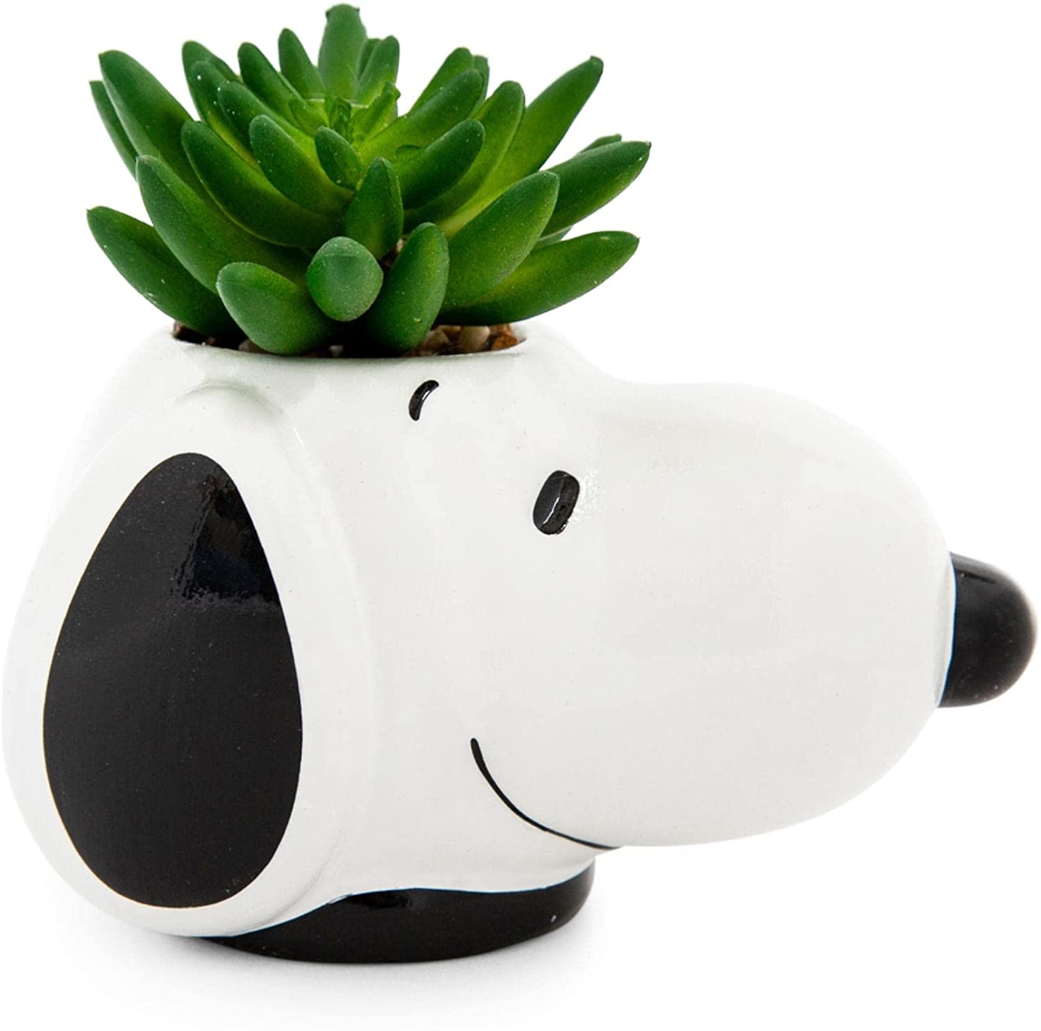 Snoopy Planta Suculenta