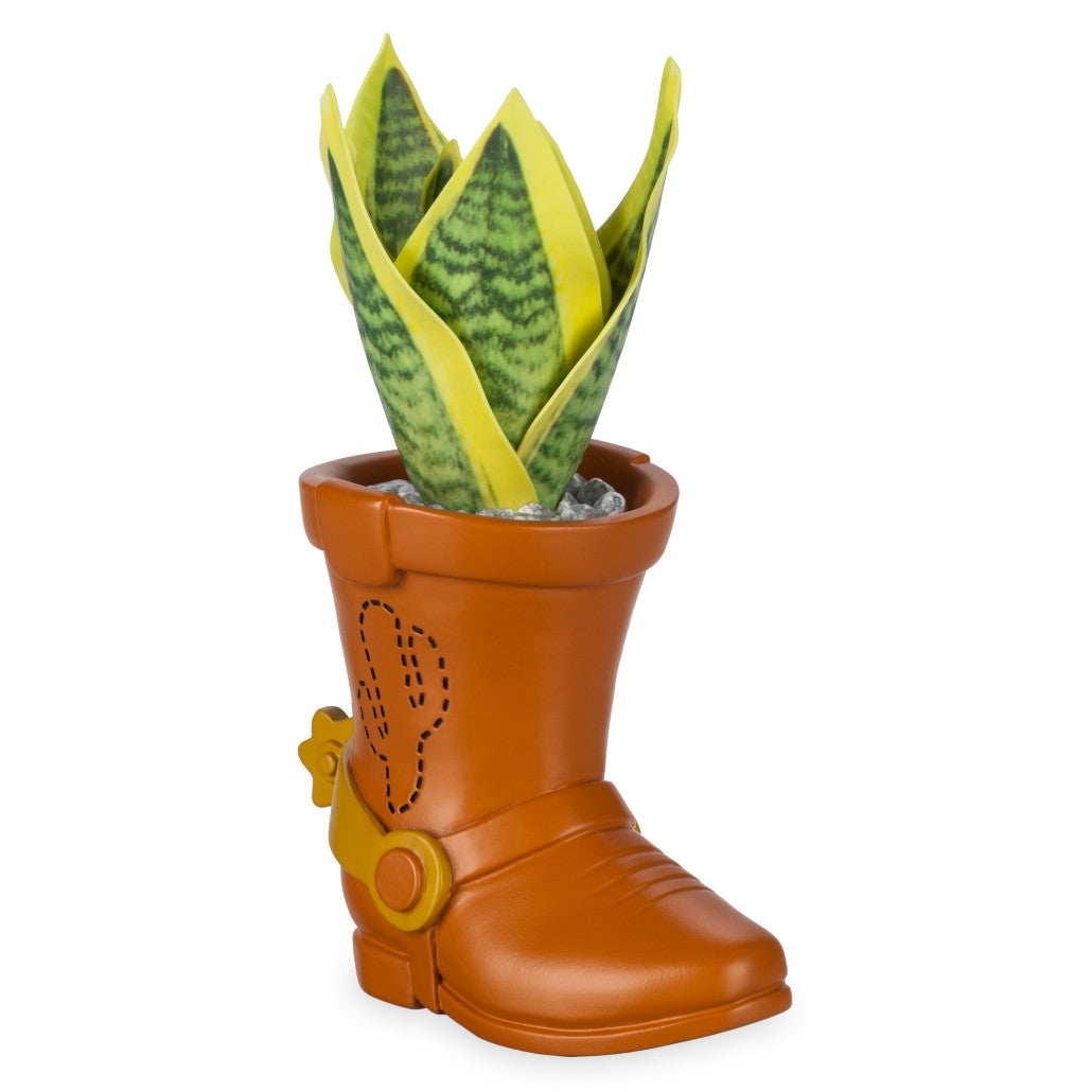 Toy Story Bota Planta Suculenta Oficina