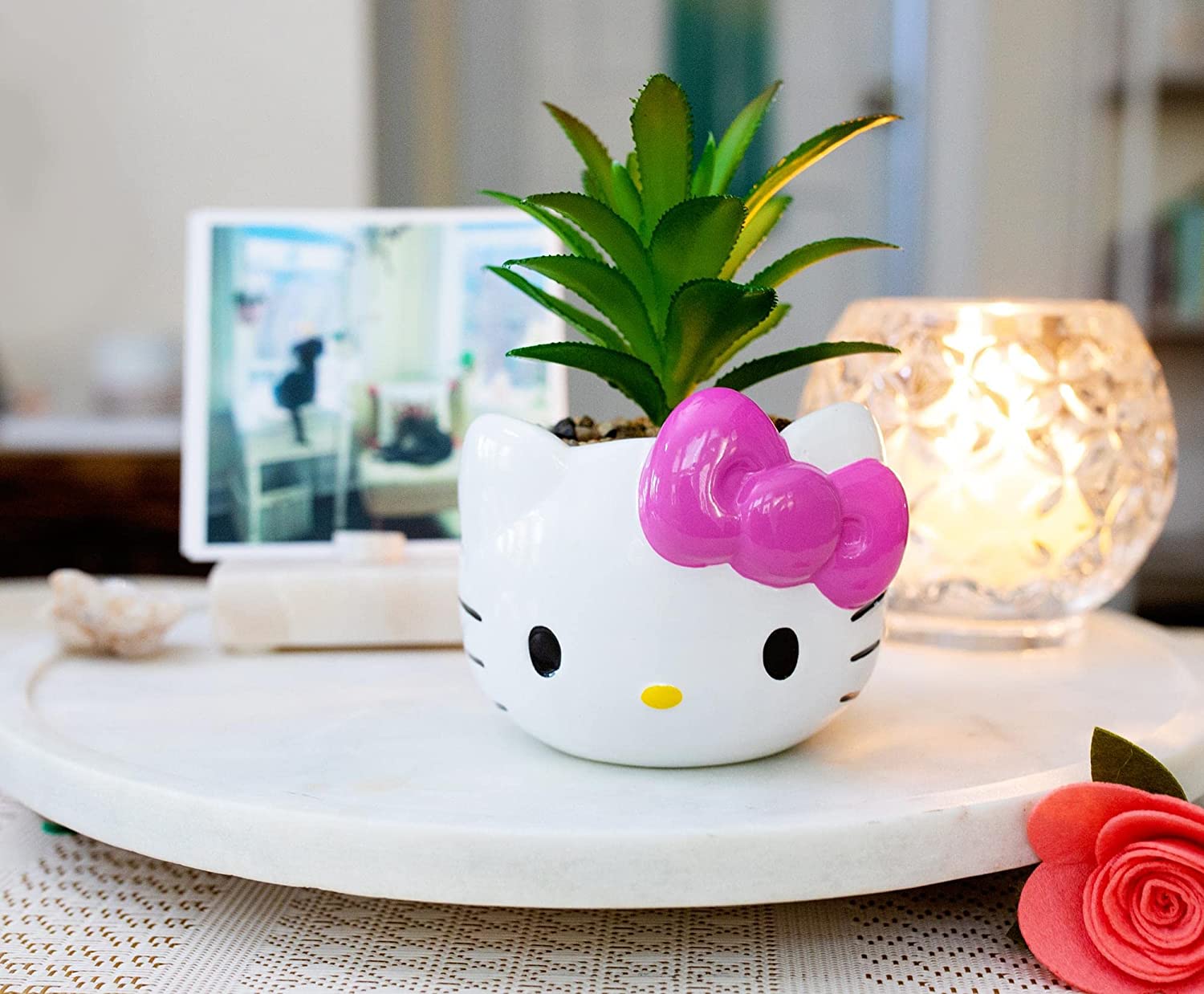 Hello Kitty Planta Suculenta