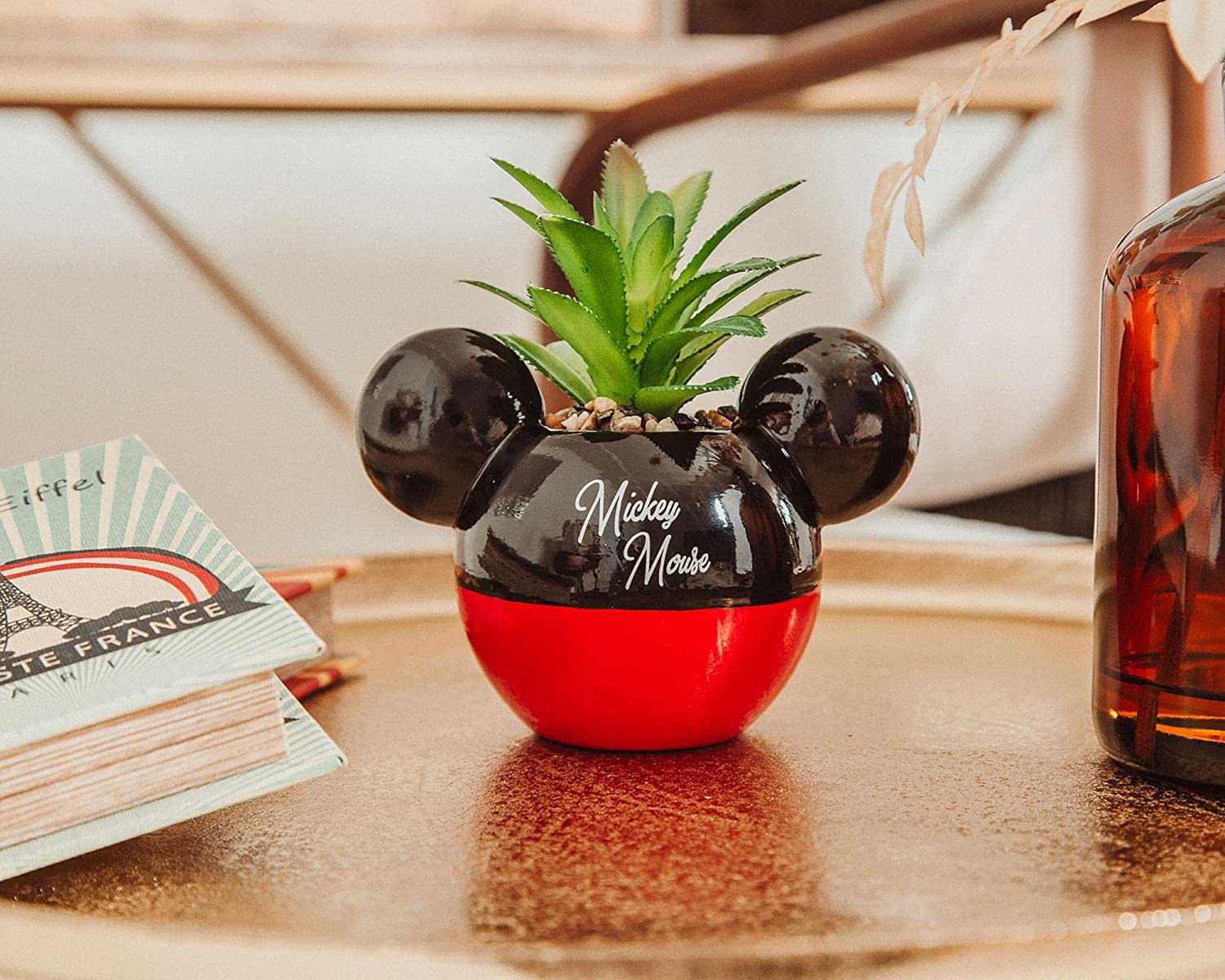 Mickey Mouse Planta Suculenta