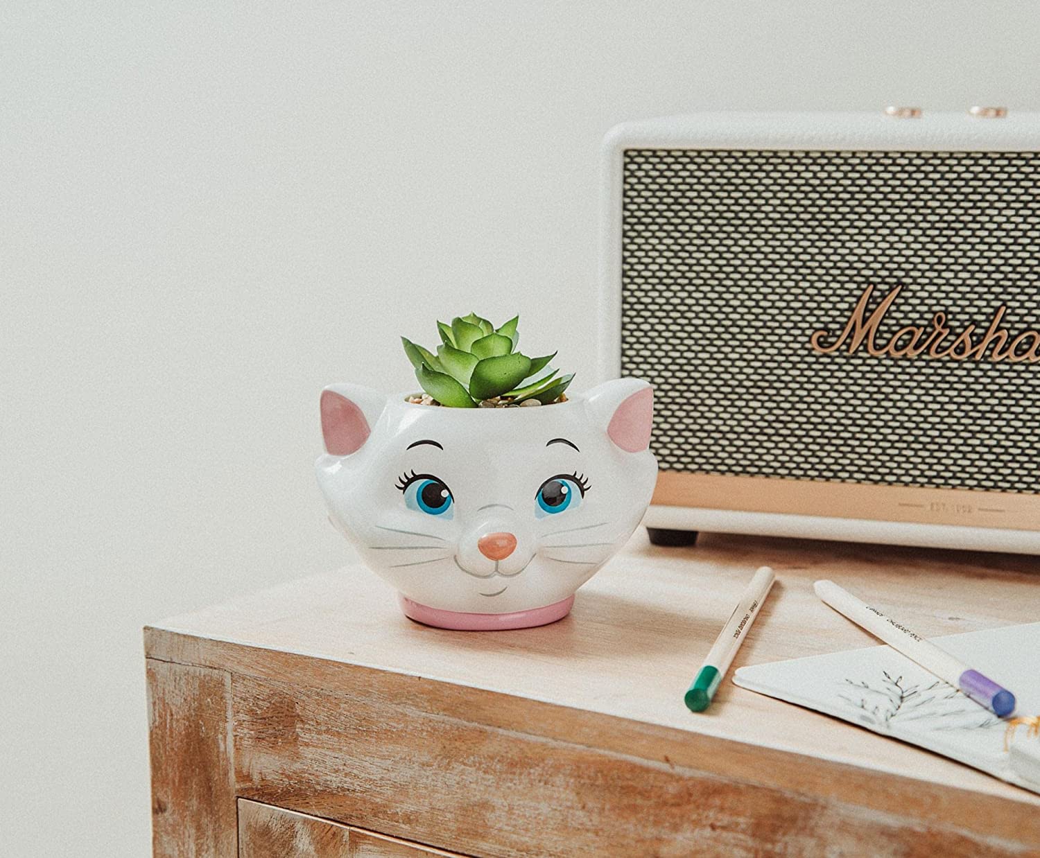 Los Aristogatos Marie Planta Suculenta