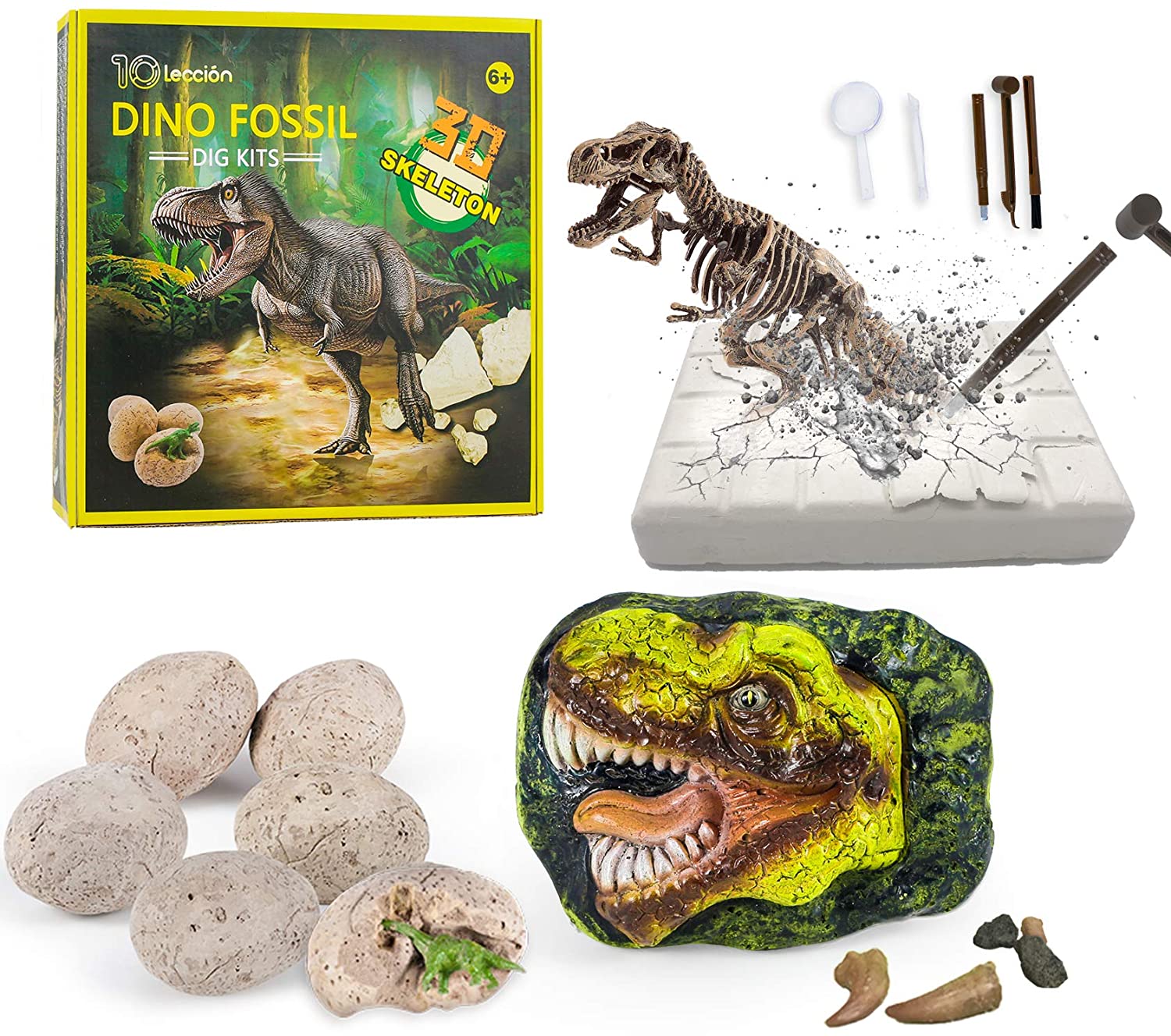 Kit Dinosaurio Excavación