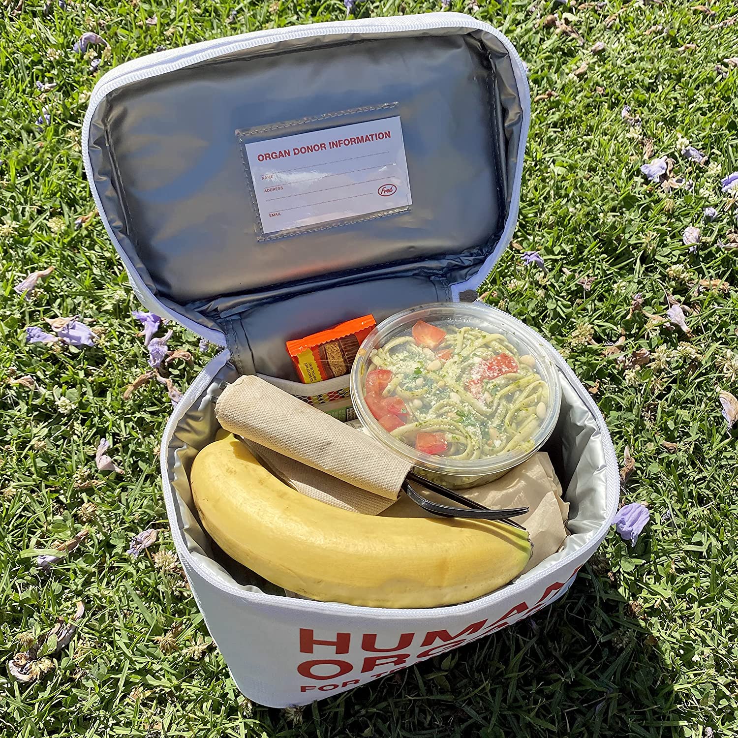 Lonchera Medico Broma Organos