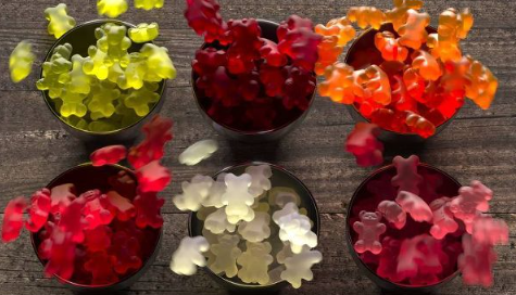 Black Forest Organic Gummy Bears - 8oz