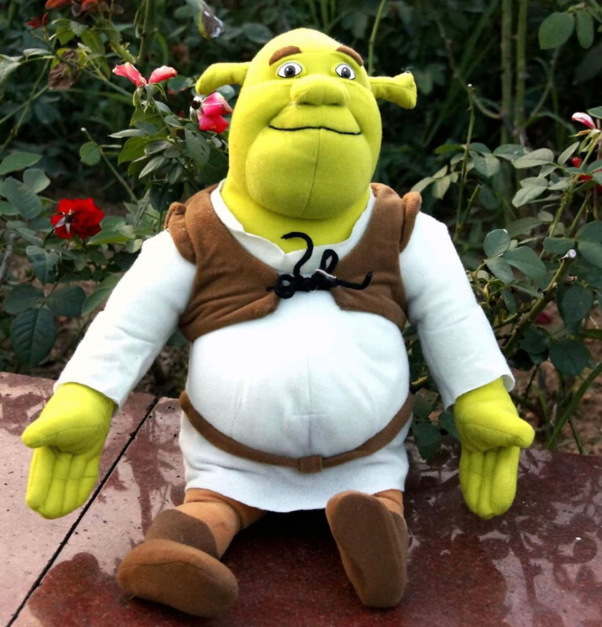 Shrek Peluche Dreamworks