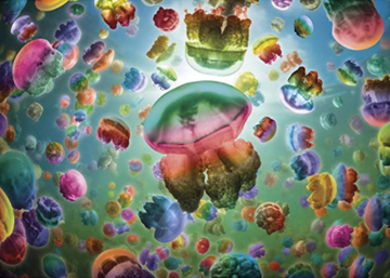 Rompecabezas Medudas 1000 pz