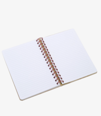 Cuaderno Jurassic Park