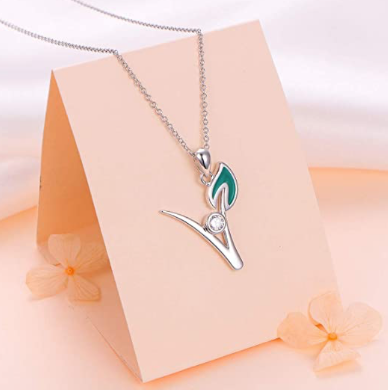 Collar Plata .925 Vegetariano V