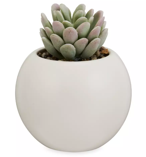 Baymax Planta Escritorio